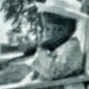 Meet your Posher, Maureen